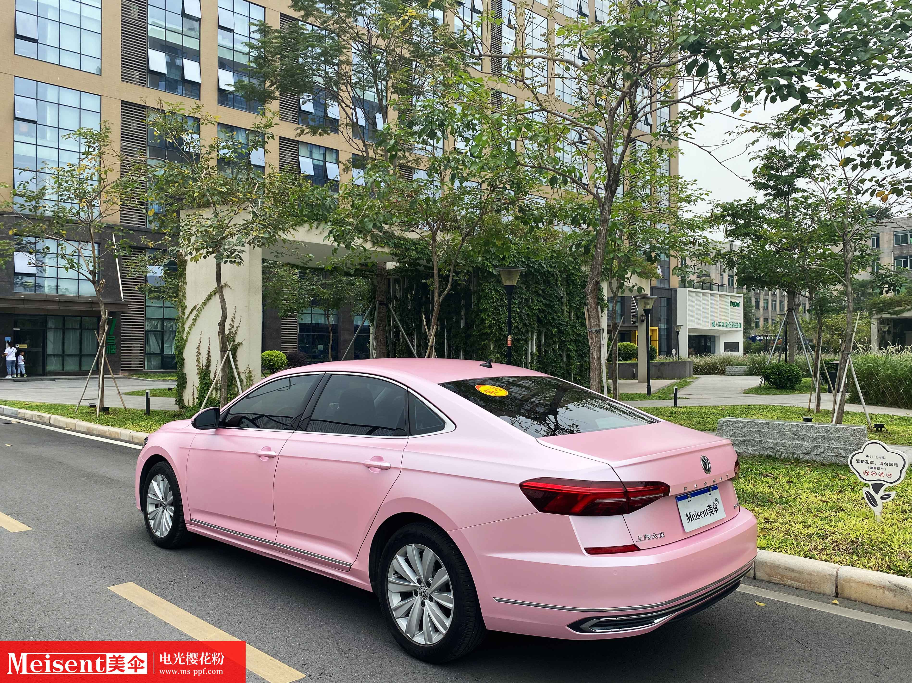 电光樱花粉--大众 - 量克贴膜-正品直营官网